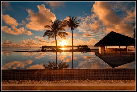 景观，水，棕榈树，日落，天空，太阳，云，马尔代夫