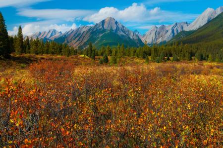 班夫国家公园，加拿大，秋天，阿尔伯塔，加拿大