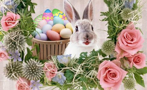 复活节，兔子，鲜花，玫瑰，krashenki，复活节彩蛋