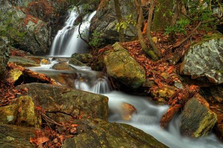 瀑布，河，石头，秋天