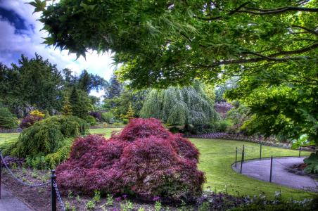 花园，伊丽莎白女王，温哥华，加拿大