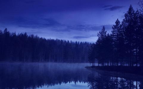 自然，晚上，森林，河流