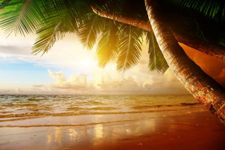 海滩，海岸，热带，海洋，日落，棕榈，天堂，夏天，海