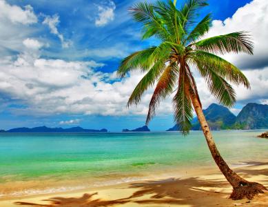 大海，沙滩，棕榈，天堂，海岸，海洋，蓝色，热带，翡翠
