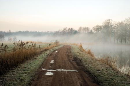 早上，路，河，雾，自然，景观