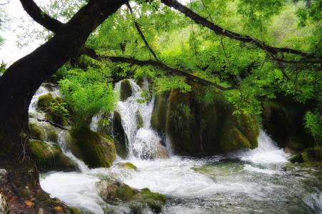 河，瀑布，岩石，树木，性质