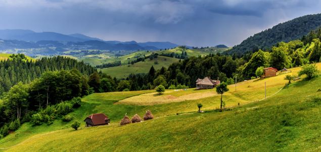 古老的山村，罗马尼亚，丘陵，山脉，树木，房屋，景观