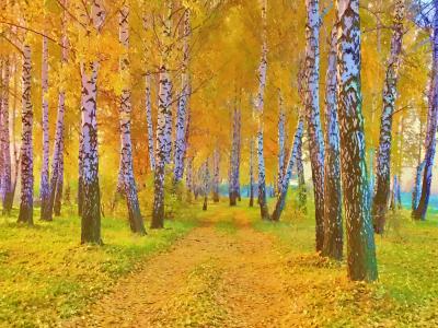 绘图，自然，景观，秋季，路，黄叶，桦木