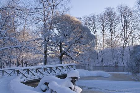 冬天，公园，小河，树木，风景