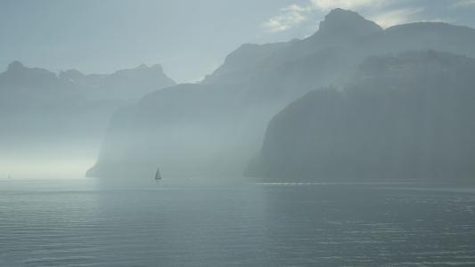 瑞士，Bauen，URI of Canton，瑞士卢塞恩湖，琉森湖，旗鱼，早晨，雾，湖，山，自然，景观