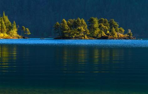 Cowichan湖，加拿大温哥华岛，Cowichan湖，加拿大温哥华岛，小岛，森林，树木，水，湖