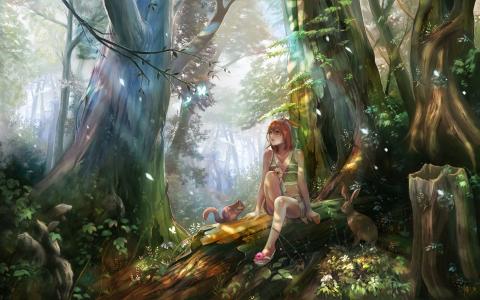 女孩，森林