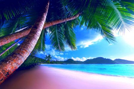 海岸，海滩，天堂，夏天，海洋，棕榈，热带，海洋
