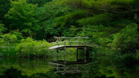 湖，森林，桥，自然