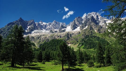 勃朗峰，阿尔卑斯山，勃朗峰，阿尔卑斯山，山，树木
