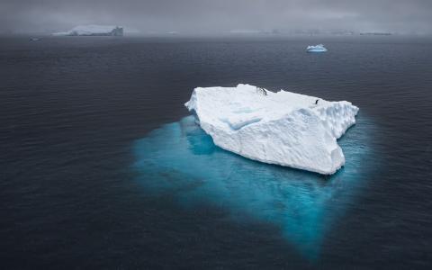 冰山，海洋，企鹅，南极洲