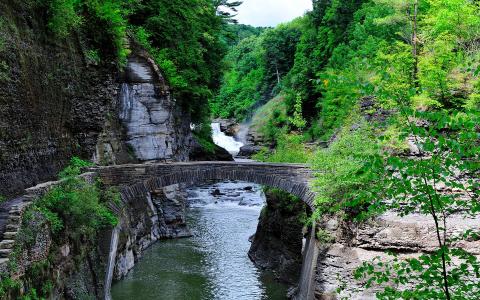 河，岩石，树木，桥，步骤，景观