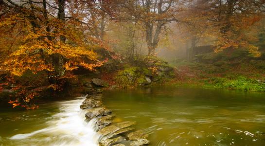 河，树木，秋天