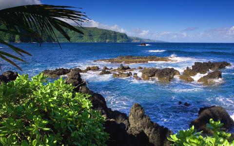 夏威夷，夏威夷，夏威夷群岛，海，石头
