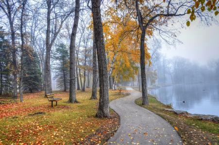 秋天，公园，池塘，道路，树木，长凳，景观