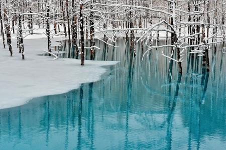 自然，景观，冬天，雪，树，蓝色的水，冰，北海道岛，日本