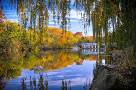 纽约中央公园，秋天，池塘，树木