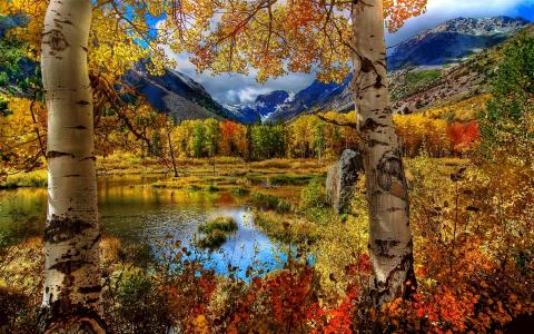 景观，秋季，树，叶子，山，湖，天空，云，草，性质