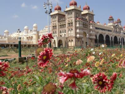 宫殿，玛哈茹阿佳，印度，迈索尔，鲜花，美丽