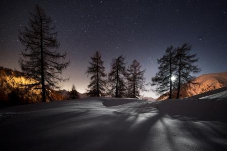 星星，夜晚，雪，山，树，冬天