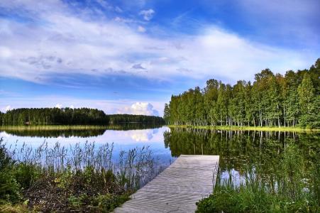 芬兰，湖，桥，树，景观
