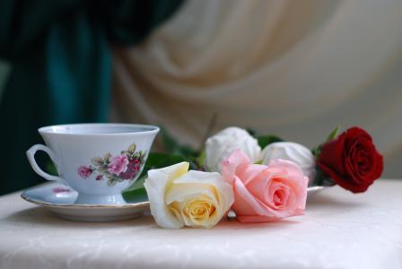 茶，玫瑰，柔情