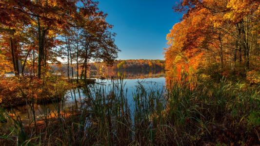 湖，秋天，树木，美女