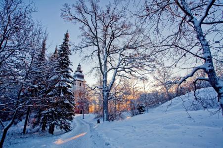 性质，冬季，雪，树，教堂，太阳，光线