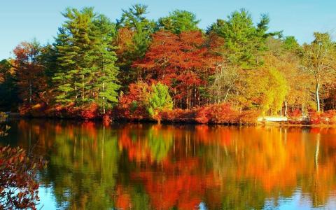 水，颜色，颜色，平滑度，秋天。