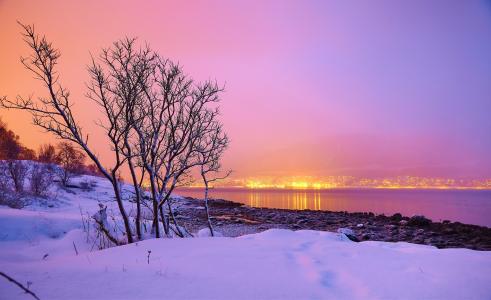 日落，冬天，河，城市，树，景观，挪威