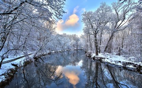 雪，森林，冬天，河，反射