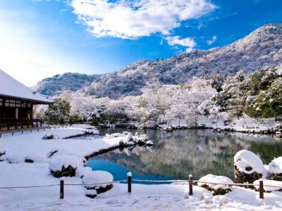 天龙寺，京都，池塘，冬天，雪景，风景