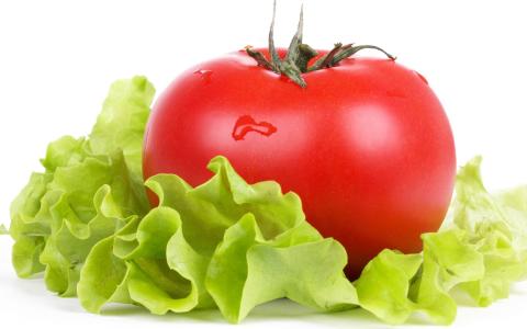 番茄，生菜