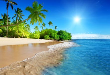 阳光，沙滩，海岸，热带，天堂，蓝色，海，天空，翡翠