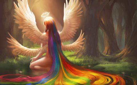 森林，四，翅，天使，彩虹，头发
