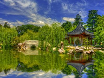 下巴，中国，花园，植物园，桥，池塘，反射，景观