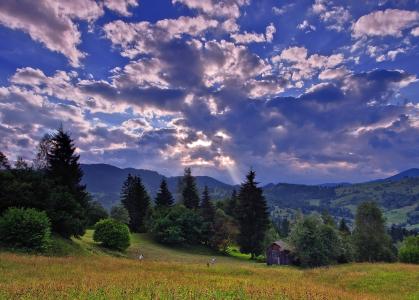 罗马尼亚，领域，天空，树木，房子，景观