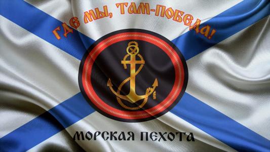 俄罗斯，海军陆战队，小旗，徽章