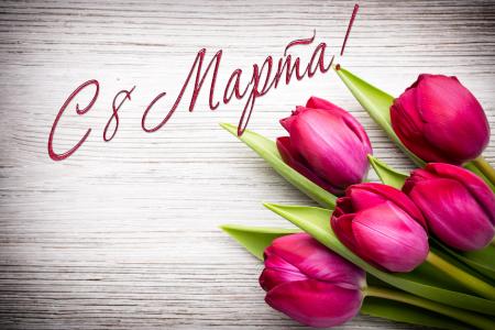 3月8日，国际妇女节，郁金香花开
