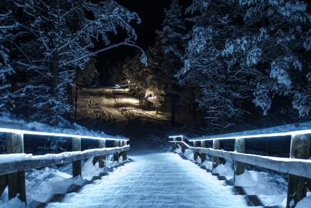 冬天，雪，夜晚，公园，桥梁