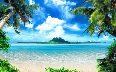 棕榈树，热带地区，沙滩，大海，岛屿