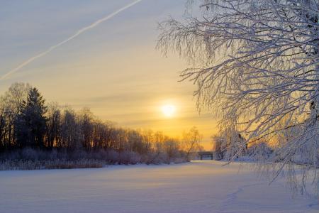 瑞典，冬天，雪，林间空地，树，早晨，太阳，日出