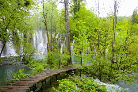 树木，瀑布，瀑布，国家公园，十六湖，克罗地亚，十六湖国家公园，克罗地亚