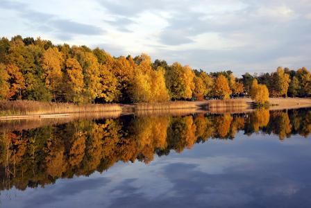 银湖，图拉瓦，波兰，湖，秋天，景观