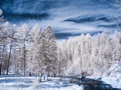 冬天，河流，雪，树木